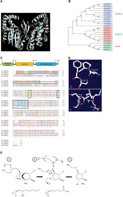 An Insect Prostaglandin E2 Synthase Acts in Immunity and Reproduction